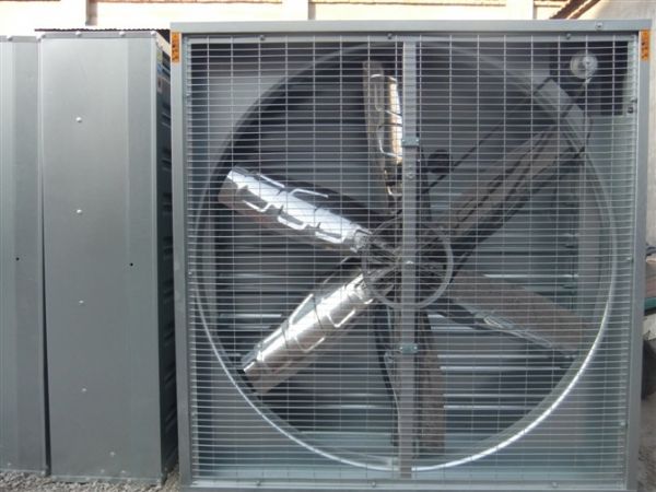 ����ؓ���L�C