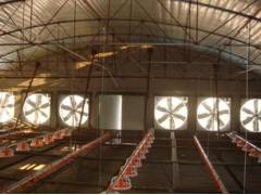 ؓ(f��)���L(f��ng)�C(j��)����