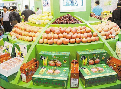 德合鑫農(nóng)副產(chǎn)品展銷會(huì)“廣西行”即將啟動(dòng)，首站落地百色