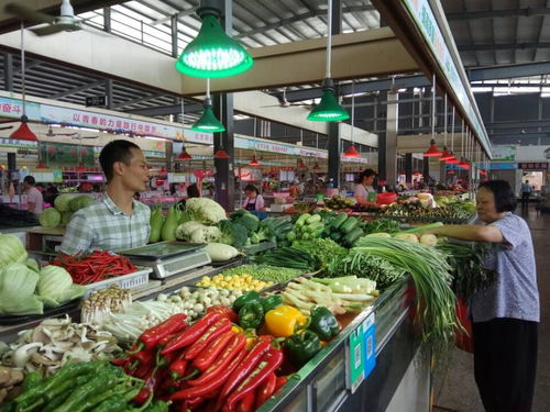 江門 農(nóng)副產(chǎn)品供應(yīng)充足，市民采購方便又安心